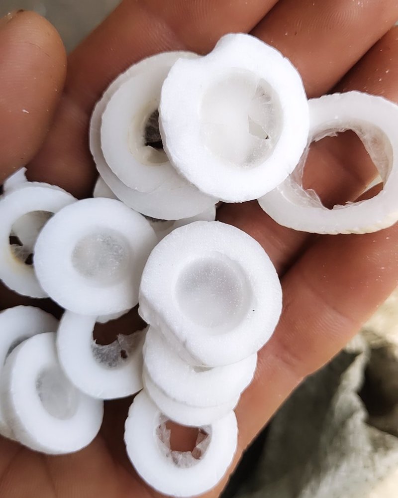 通草，大通草，新货关书药业批发中药材规格齐全…