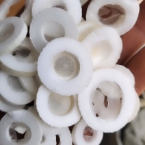 通草，大通草，新货关书药业批发中药材规格齐全…