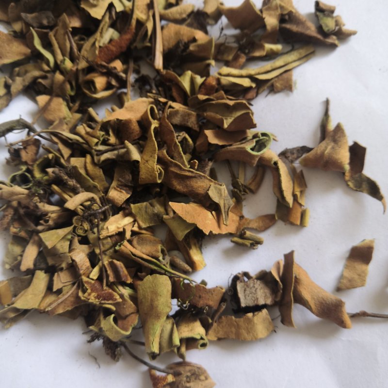 中药材石韦石伟刀口药批发各种中药材量大从优