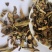 中药材石韦石伟刀口药批发各种中药材量大从优