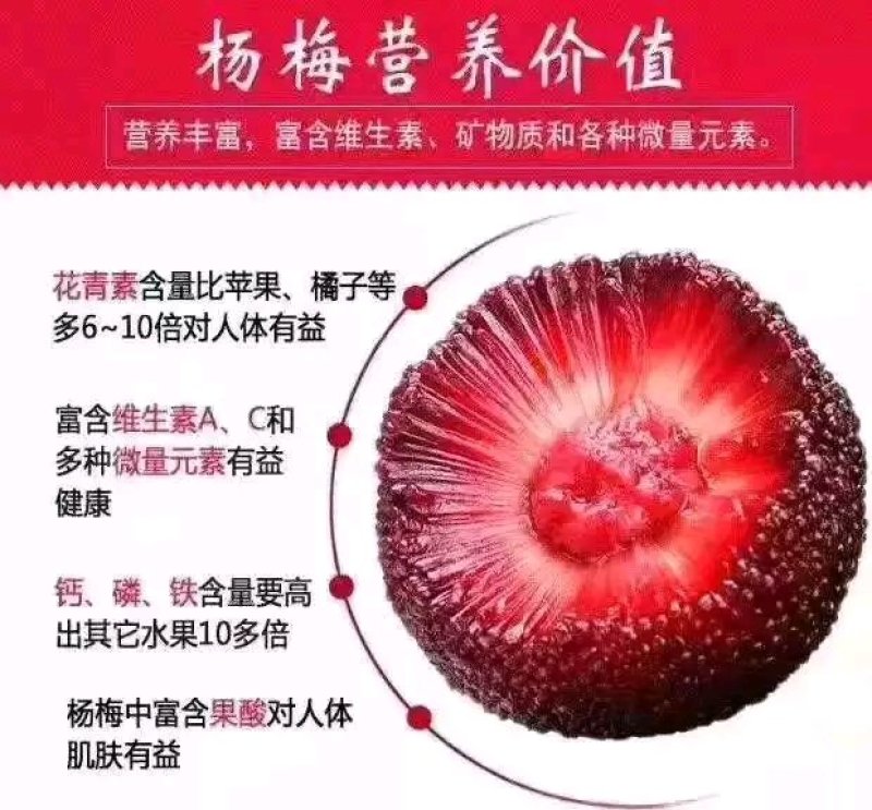实拍正宗精品特级仙居东魁杨梅！各级别都有货！支持视频看货