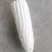 白玉米
