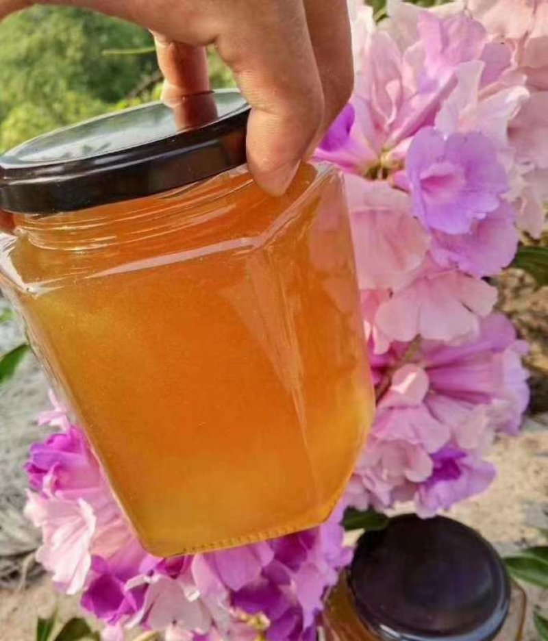 [推荐]缅甸枣花蜜，基地直销，可视频看货，无添加口感纯正