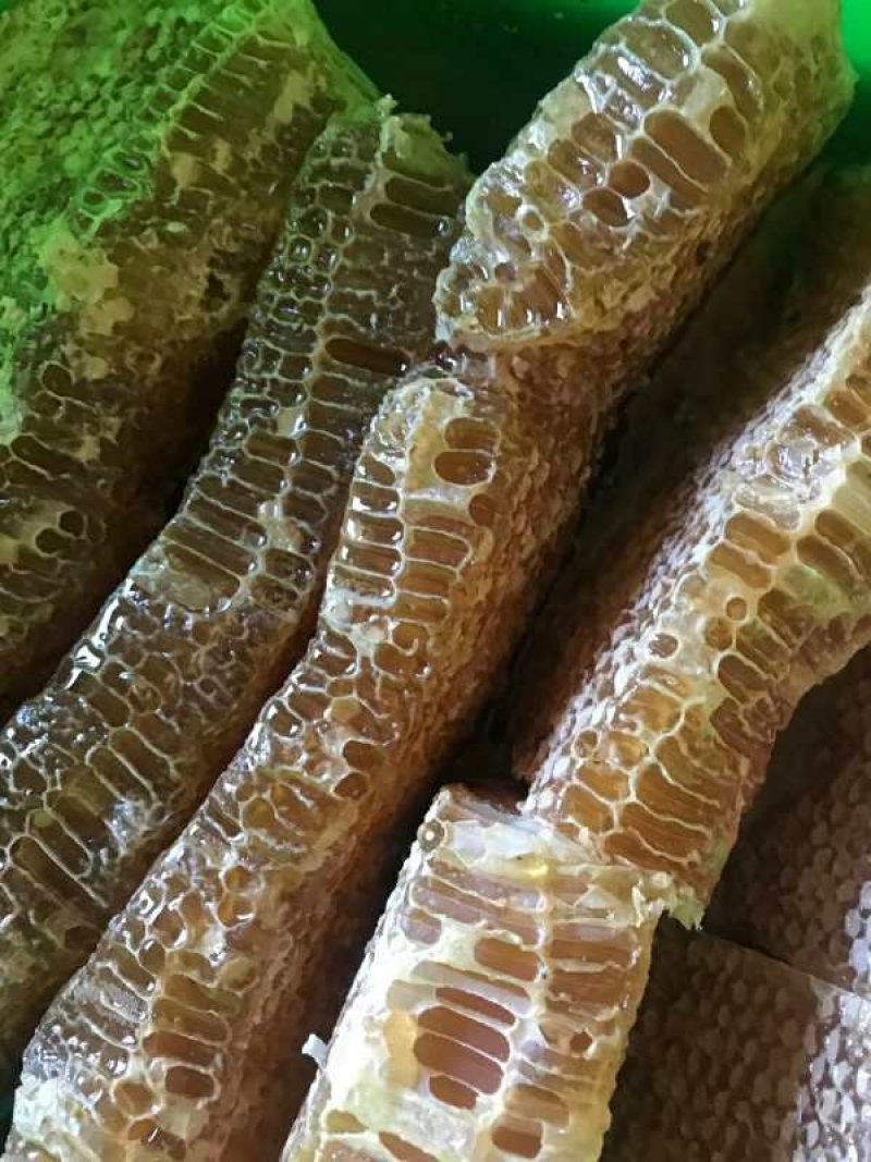 [推荐]缅甸枣花蜜，基地直销，可视频看货，无添加口感纯正