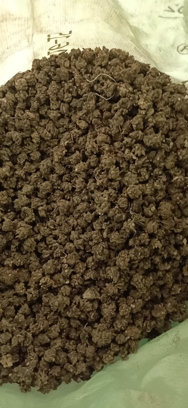 正宗猫爪草各种规格全新货品质保障常年供应量大价优欢迎咨询