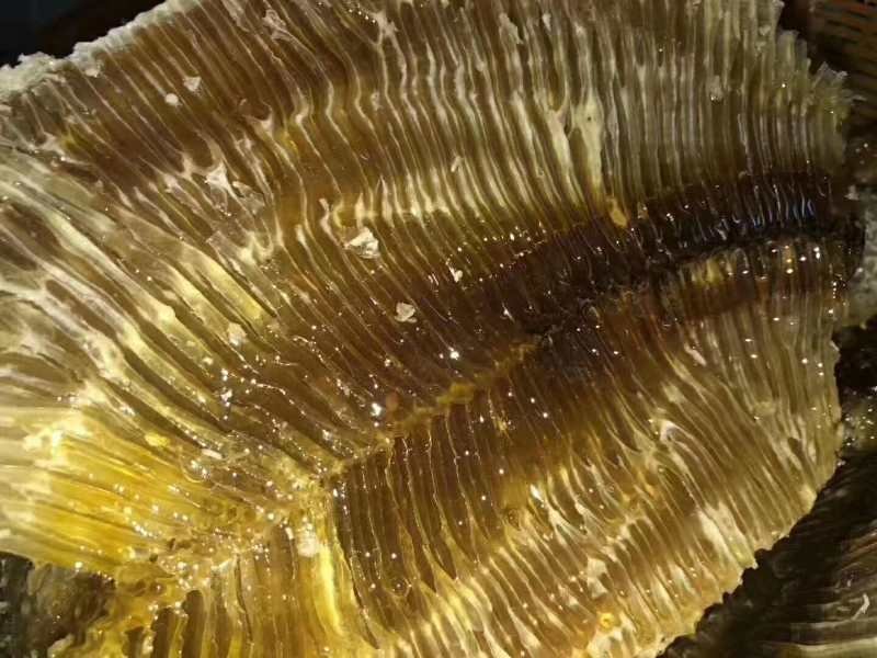 缅甸野生蜂蜜岩蜜，可视频看货，无添加，保证口感纯正