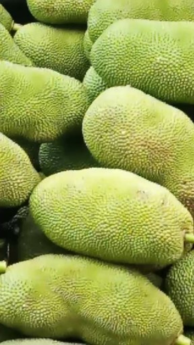菠萝蜜