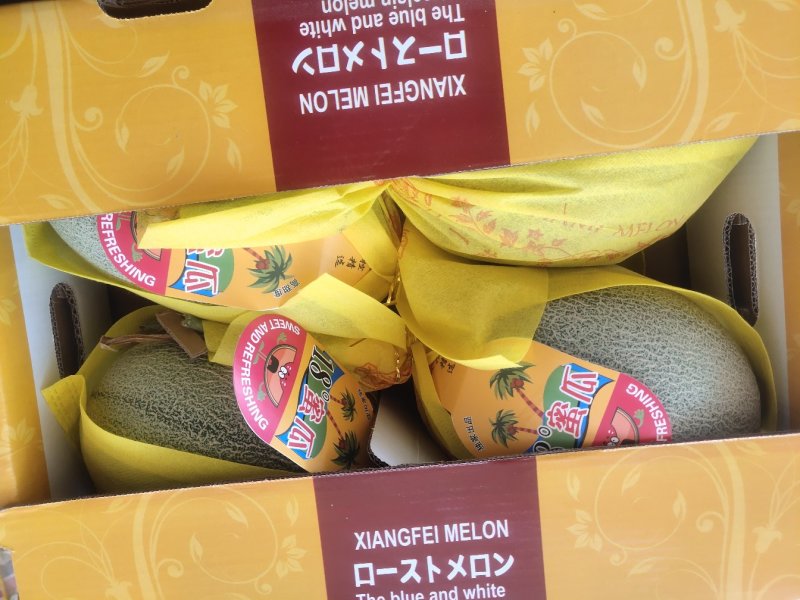 【哈密瓜】正宗晓蜜25哈密瓜坡博肉厚爆甜多汁欢迎采购
