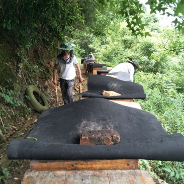 深山老林百种野花纯蜂蜜