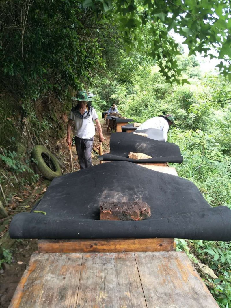 深山老林百种野花纯蜂蜜