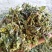 牛至，荆芥，全草无根，切段机压包