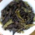 大坪土山茶惠来八仙土山茶1袋1斤潮汕工夫茶高山八仙茶叶