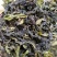 大坪土山茶惠来八仙土山茶1袋1斤潮汕工夫茶高山八仙茶叶