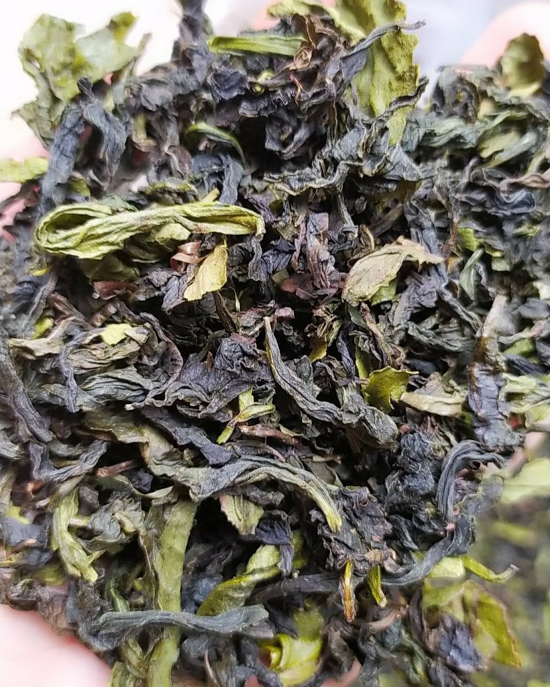 大坪土山茶惠来八仙土山茶1袋1斤潮汕工夫茶高山八仙茶叶