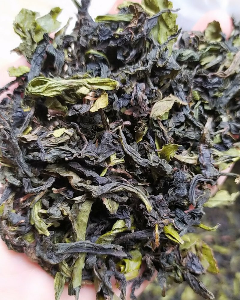 大坪土山茶惠来八仙土山茶1袋1斤潮汕工夫茶高山八仙茶叶