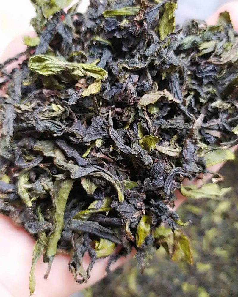 大坪土山茶惠来八仙土山茶1袋1斤潮汕工夫茶高山八仙茶叶