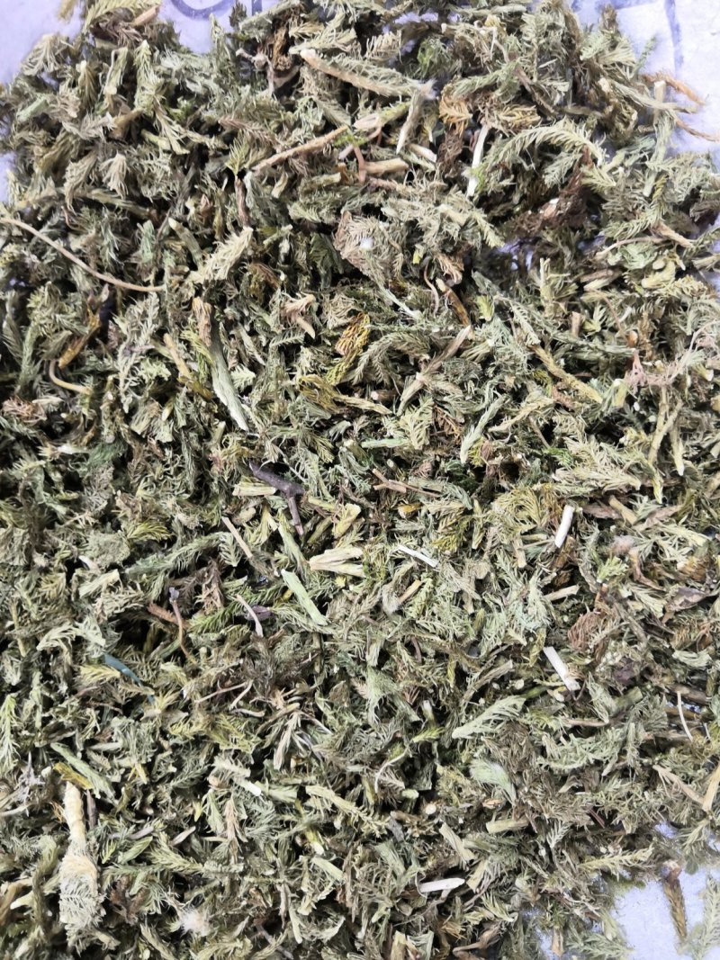 伸筋草舒筋草狮子草无硫新货中药材