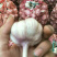 大蒜