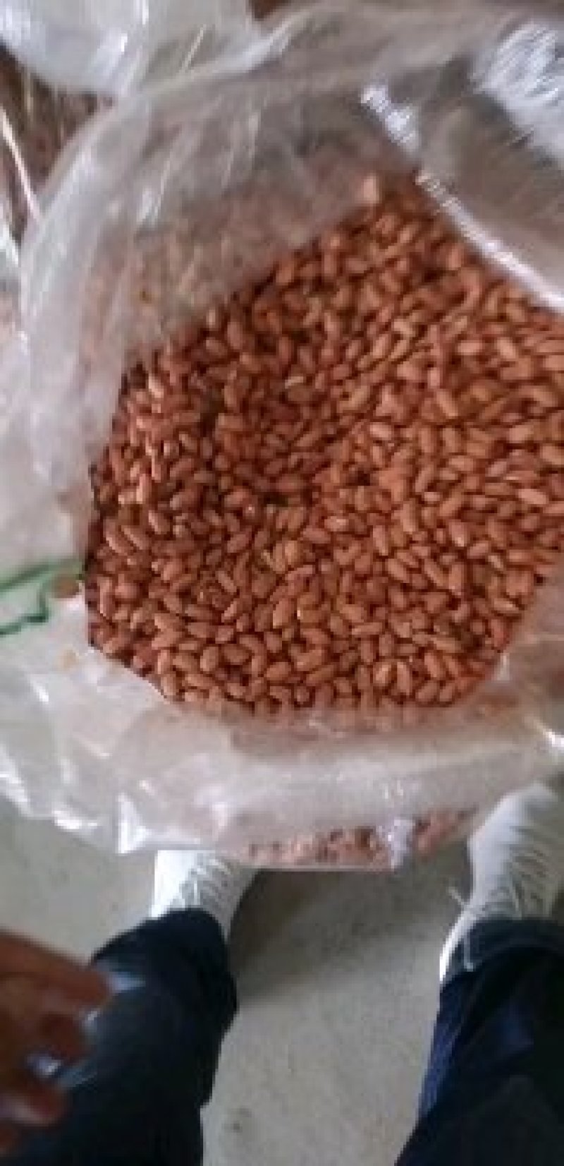 鲁花花生米，油料米价格。品种齐全，保质保量。