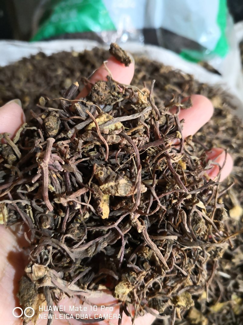 紫苑河北干货人工种植量大从优欢迎选购