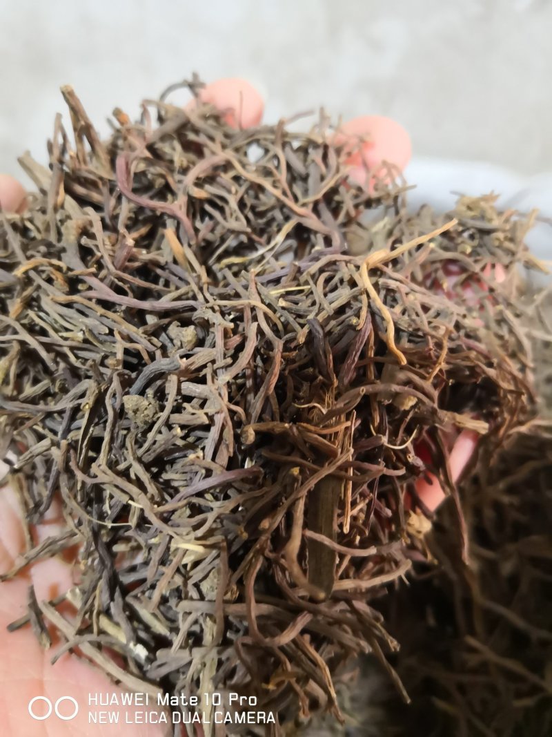 紫苑河北干货人工种植量大从优欢迎选购