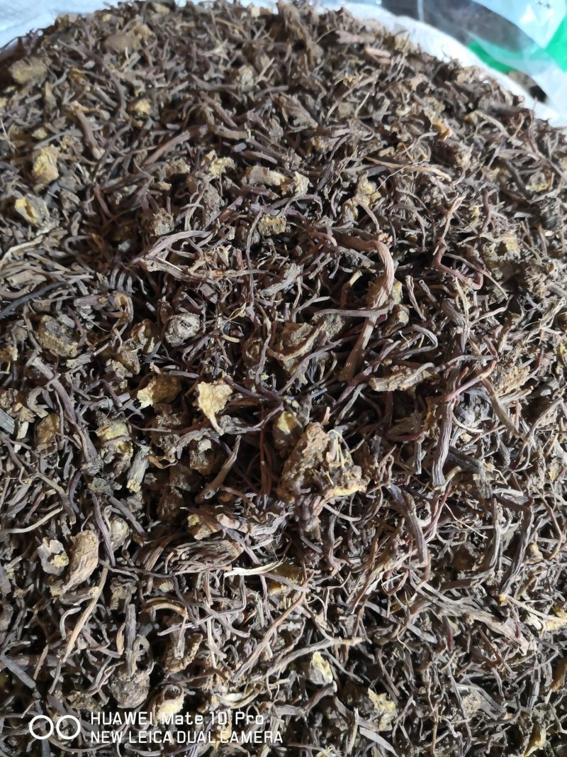 紫苑河北干货人工种植量大从优欢迎选购