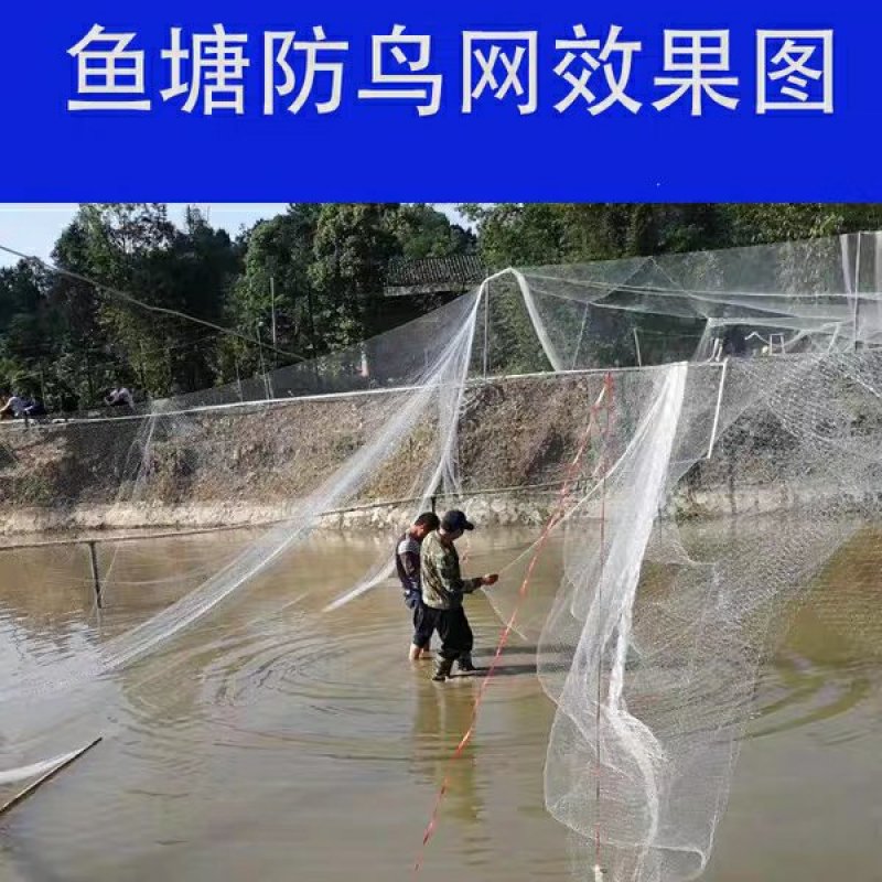 尼龙防鸟网天网果园果树网稻谷樱桃葡萄鱼塘防护网水产养殖网