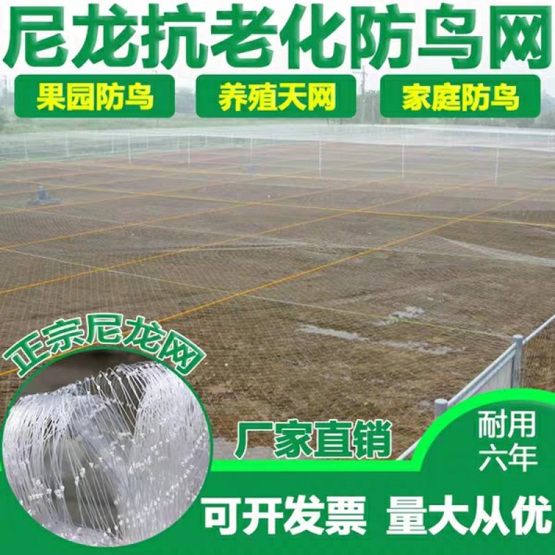 尼龙防鸟网天网果园果树网稻谷樱桃葡萄鱼塘防护网水产养殖网