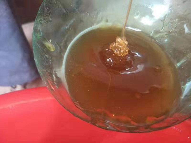 甘肃渭源农家自产百花蜜