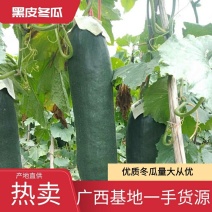 【热卖】精品黑皮大吊冬瓜，品质好，量大从优，欢迎咨询