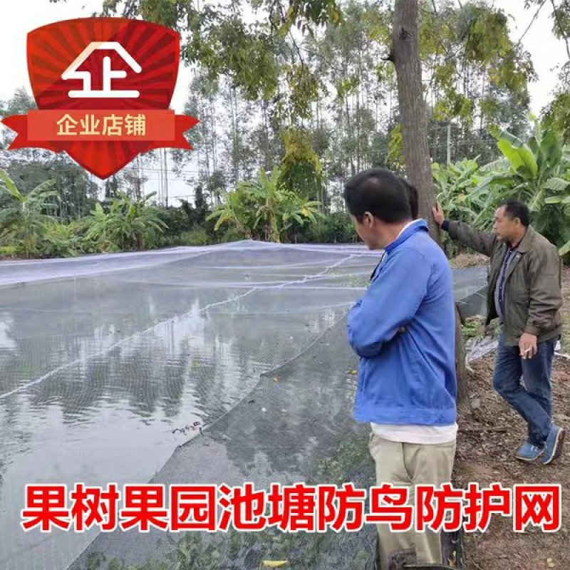 尼龙防鸟网天网果园果树网稻谷樱桃葡萄鱼塘防护网水产养殖网