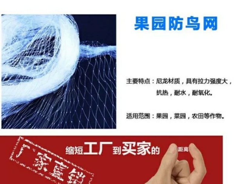 尼龙防鸟网天网果园果树网稻谷樱桃葡萄鱼塘防护网水产养殖网