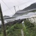 尼龙防鸟网天网果园果树网稻谷樱桃葡萄鱼塘防护网水产养殖网