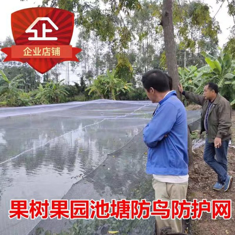 尼龙防鸟网天网果园果树网稻谷樱桃葡萄鱼塘防护网水产养殖网