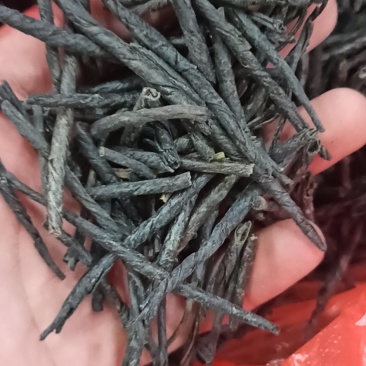 苦丁苦丁各种规格专营中药批发量大优惠欢迎来电