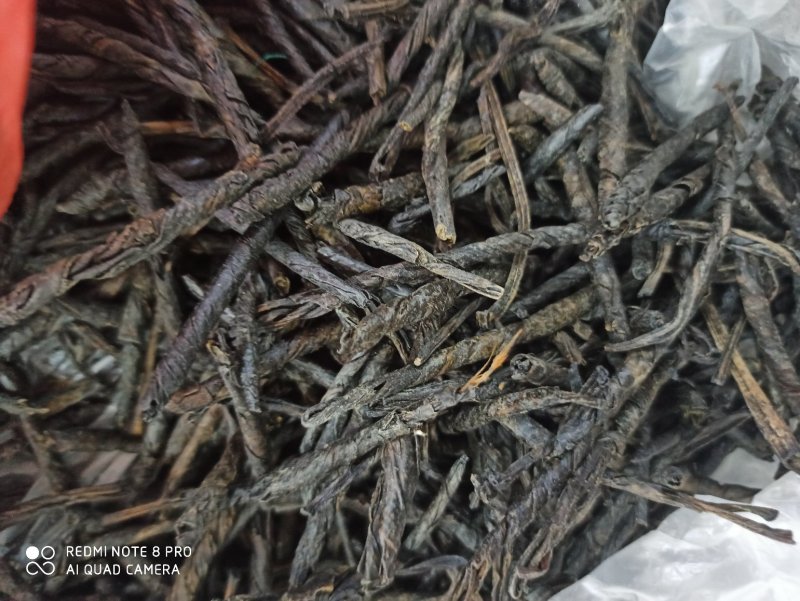 苦丁苦丁各种规格专营中药批发量大优惠欢迎来电