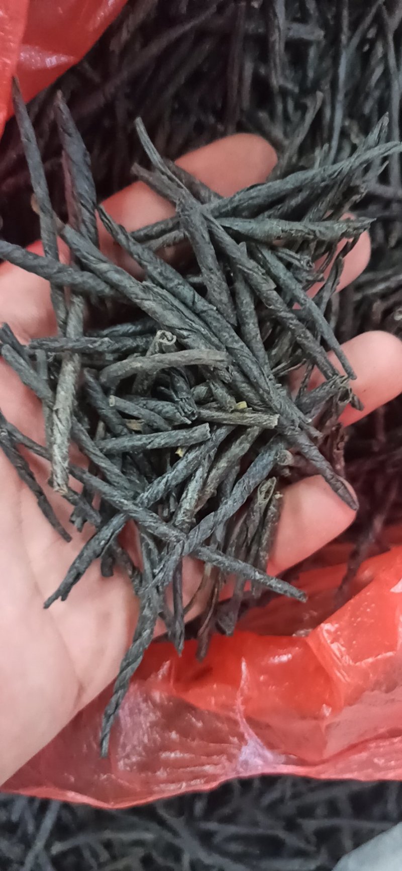 苦丁苦丁各种规格专营中药批发量大优惠欢迎来电