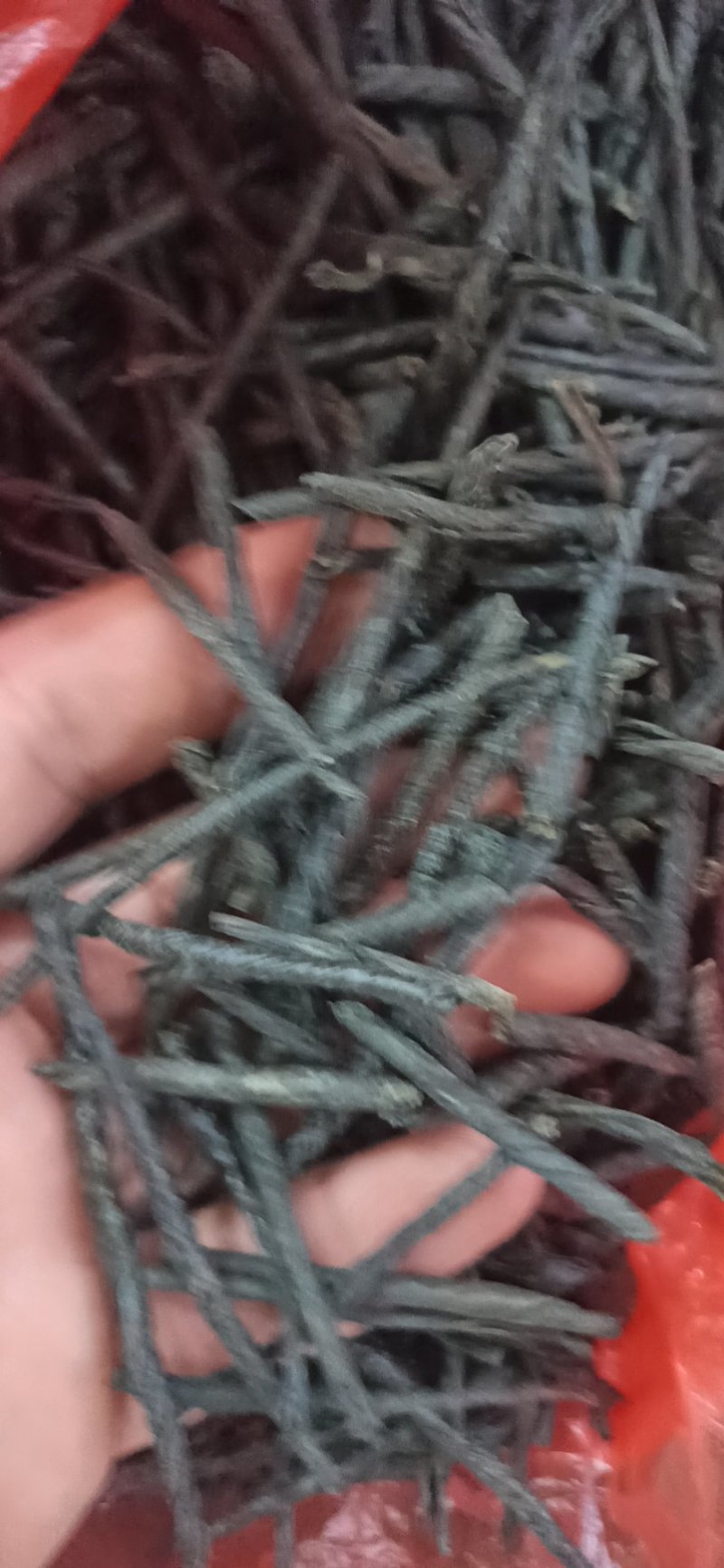 苦丁苦丁各种规格专营中药批发量大优惠欢迎来电