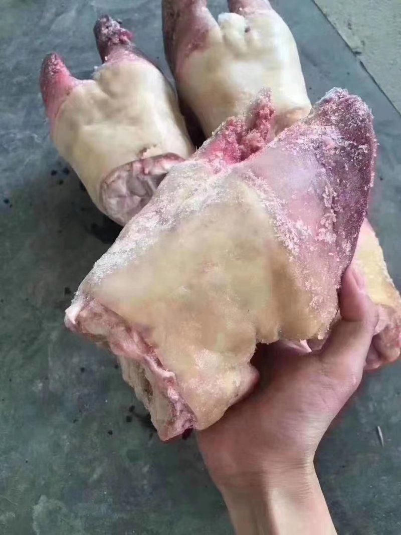 牛脚掌牛副产品大量有货。，