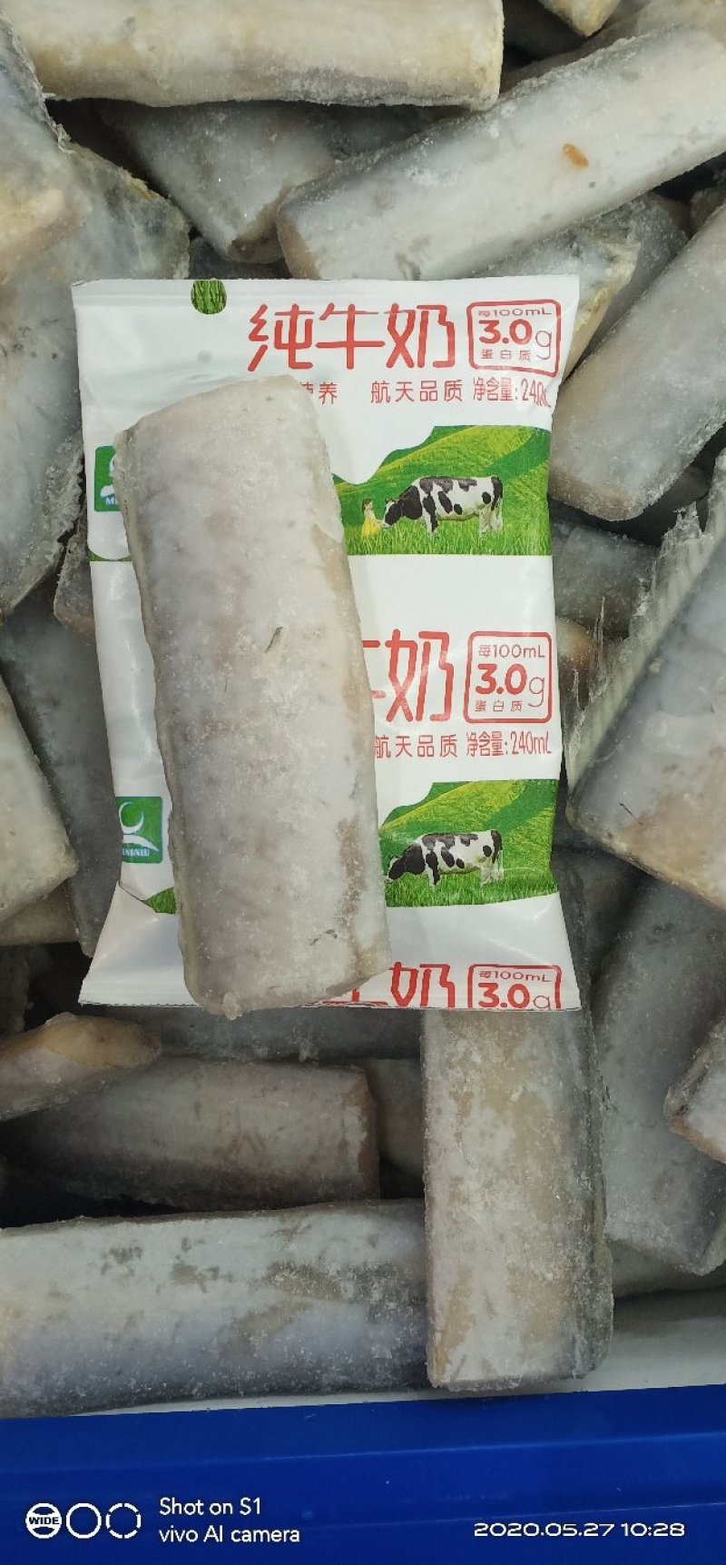 刀鱼段（中号）