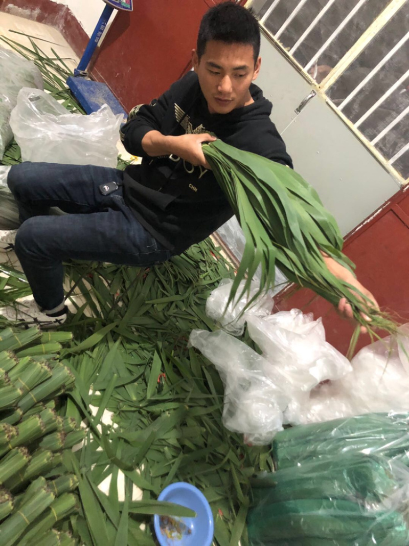 粽叶，芦苇叶产地大量供应6到8公分全国批发零售