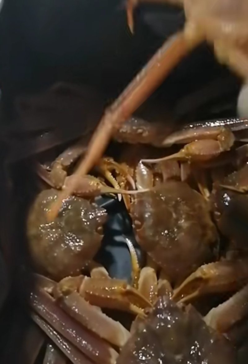 俄罗斯长脚蟹！！！！！！