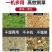 铡草机7.5吨和4.5吨卧式铡草揉丝一体机。
