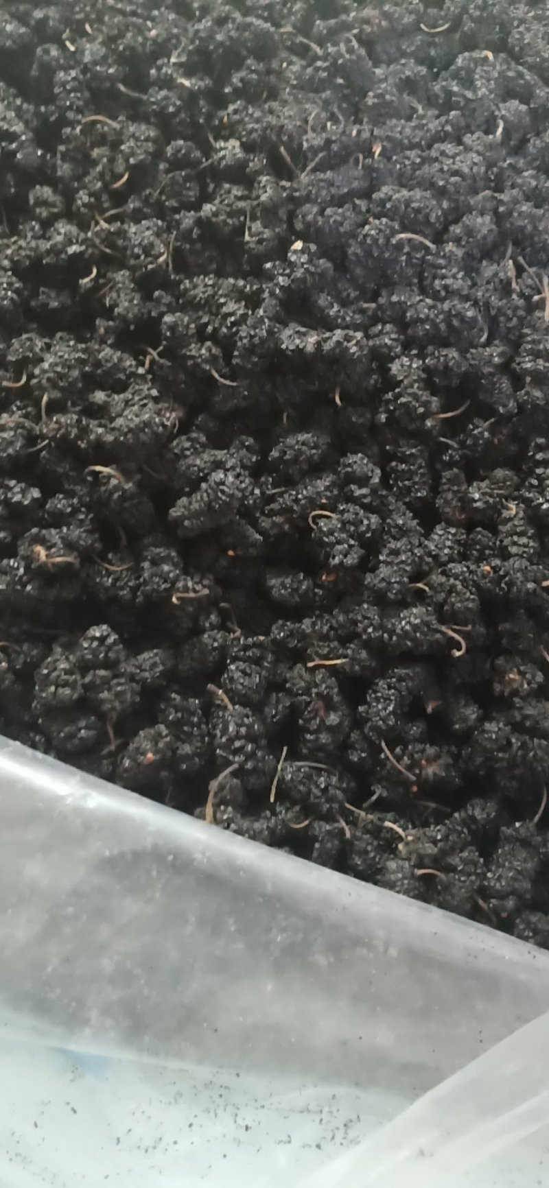 桑椹干，桑椹子大量批发零售，无碎粒免洗，产地发货