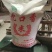 洪湖忆口香大米，当年黄华占精米，可视频看货，产地直供，