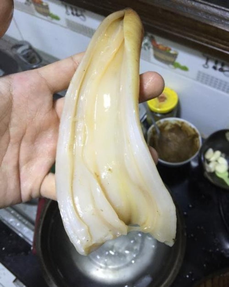 象拔蚌，大量现货批发，加州，加拿大，美国，全国各地空运
