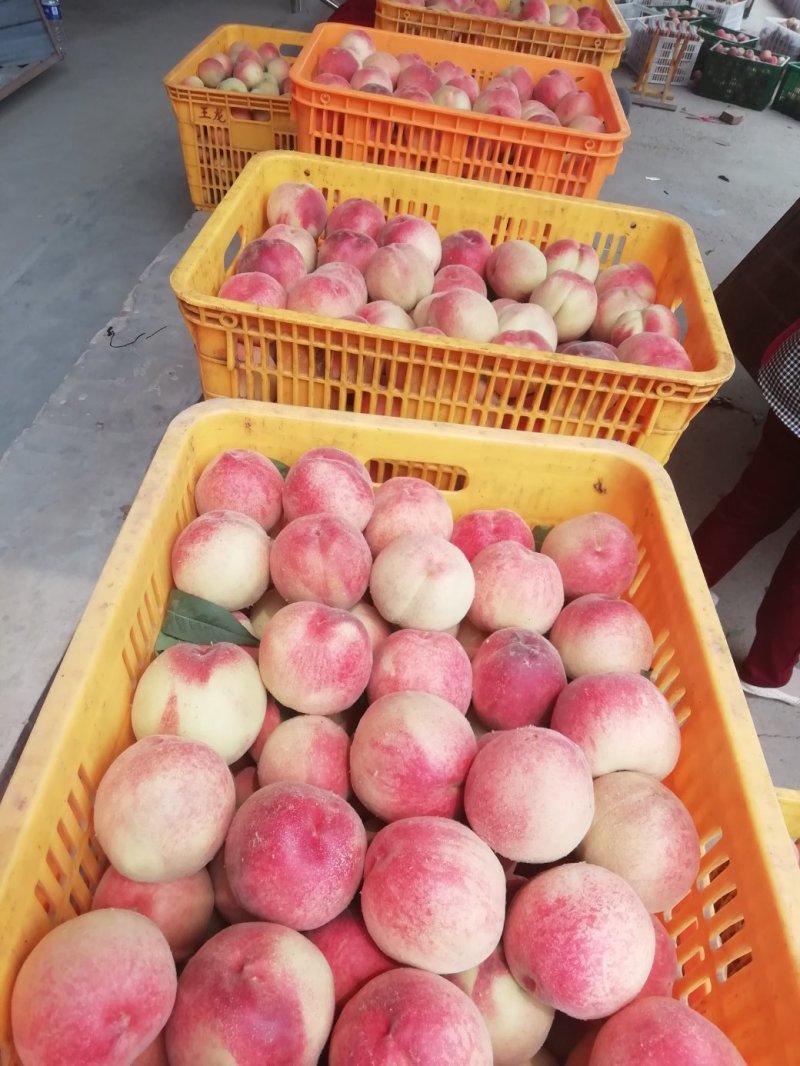 红不软