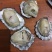 渤海湾养殖生蚝，三倍体，二倍体批发码头自取