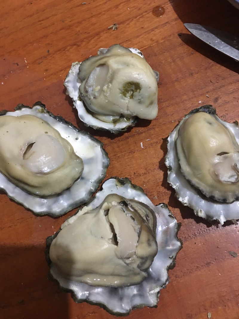 渤海湾养殖生蚝，三倍体，二倍体批发码头自取