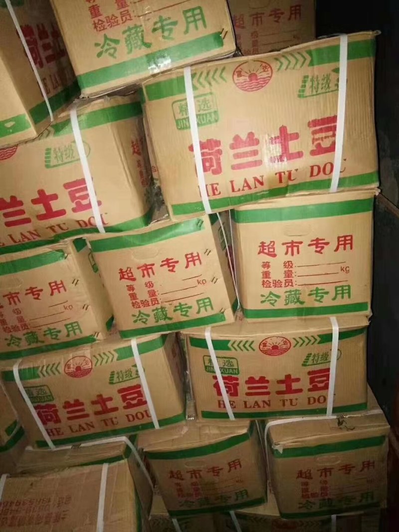 优质土豆大量上市大西洋，中薯/兴佳/荷兰品种，欢迎采购
